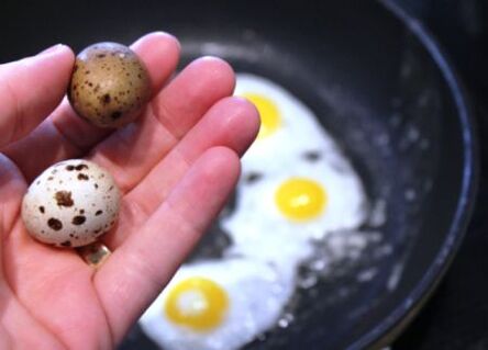 ស៊ុត quail សម្រាប់ថាមពល