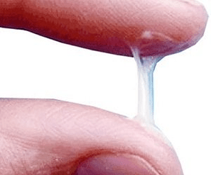 តើការសំងាត់របស់បុរសមើលទៅដូចធម្មតាយ៉ាងដូចម្តេច