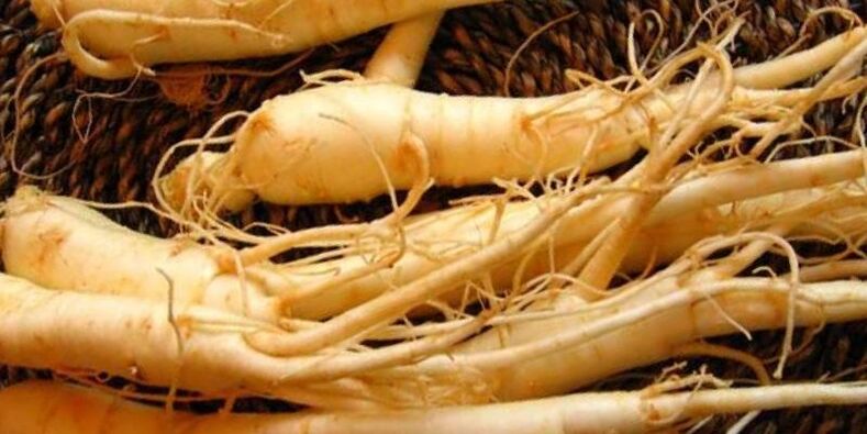 ឫសយិនស៊ិន ដើម្បីបង្កើនថាមពល